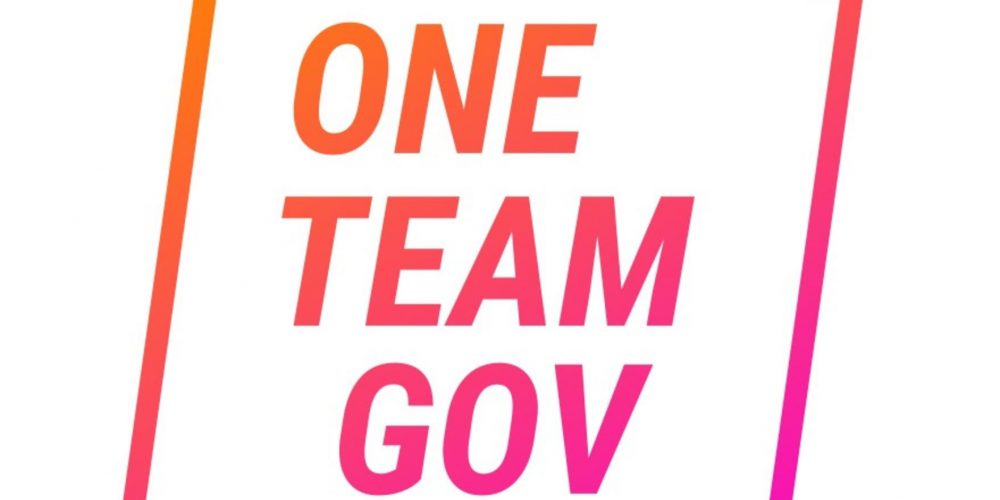 One Team Gov logo